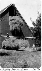 Putting-Hay-in-Dykstra-Barn11